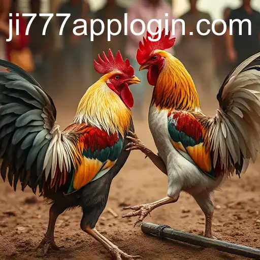 Exploring the World of Cockfighting and the Role of ji777 App Login
